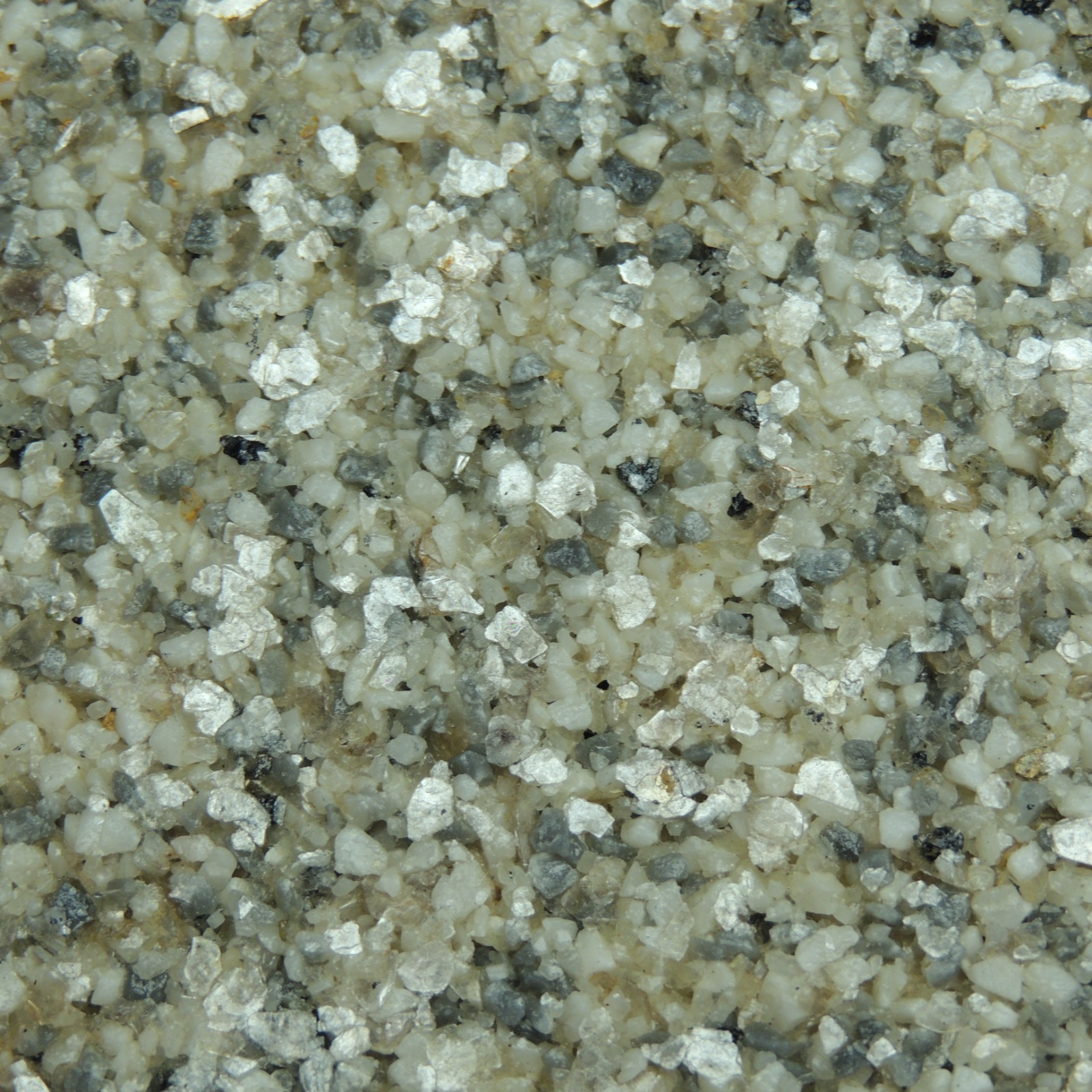Textura 6